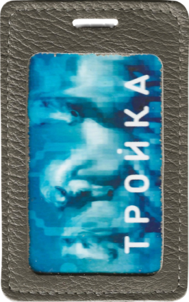 Чехол для пропуска "Серый флотер"