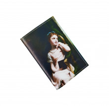 Обложка для автодокументов "Девушка в кресле"