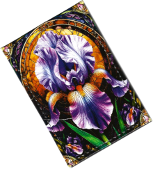 Чехол для проездного "Ирис"