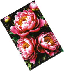 Чехол для проездного "Розовые пионы"