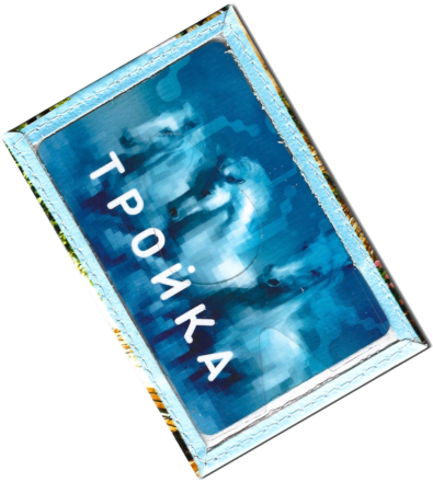 Чехол для проездного "Канал Венеции"