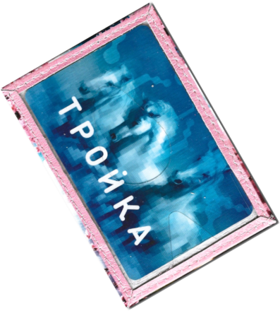 Чехол для проездного "Два кота"