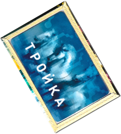 Чехол для проездного "Цветы у моря"