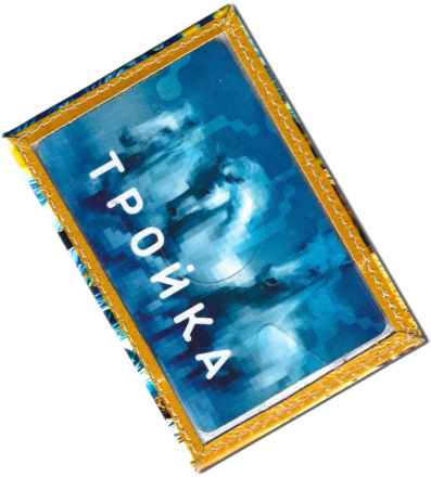 Чехол для проездного "Берег"