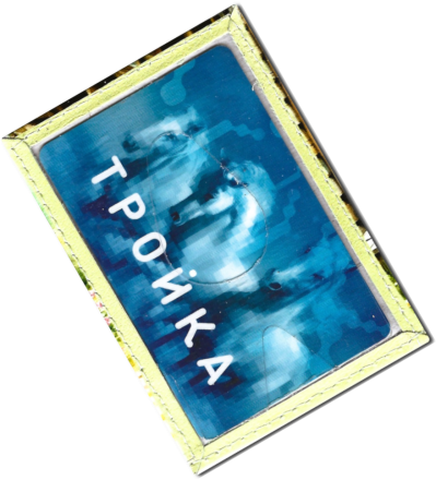 Чехол для проездного "Девочка и котята"