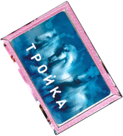 Чехол для проездного "Котенок на ветке"