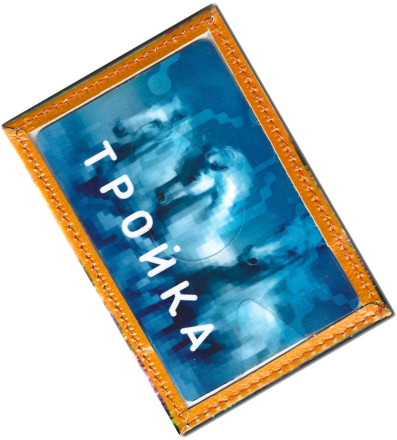 Чехол для проездного "Ежик с чаем"