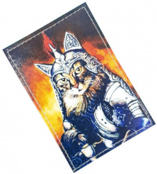 Чехол для проездного "Кот-викинг"