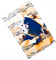 Чехол для проездного "Мышка и ноты"