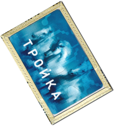 Чехол для проездного "Кот пергамент"