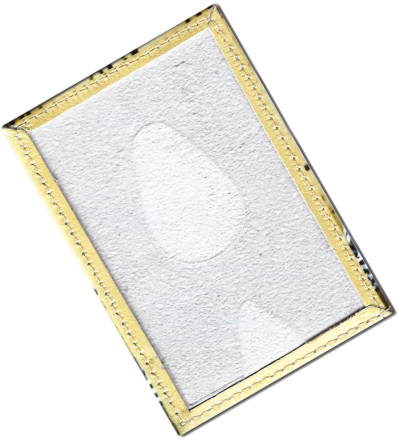 Чехол для проездного "Кот пергамент"