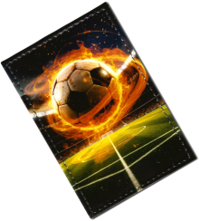 Чехол для проездного "Футбольный мяч"