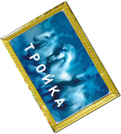 Чехол для проездного "Котенок на заборе"