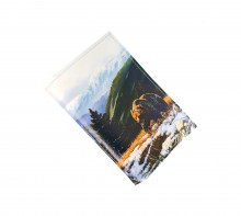 Обложка для автодокументов "Медведи"