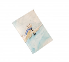 Обложка для паспорта "Самолет 2"