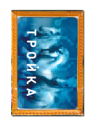 Чехол для проездного "Девушка с котом"