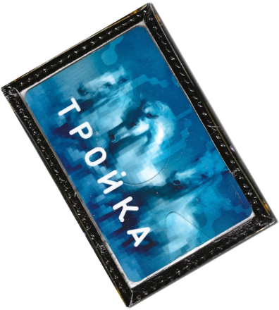 Чехол для проездного "Енот со свечей"