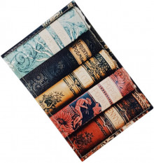 Чехол для проездного "Книги"