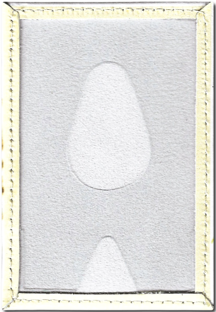 Чехол для проездного "Йорк с башмаком"