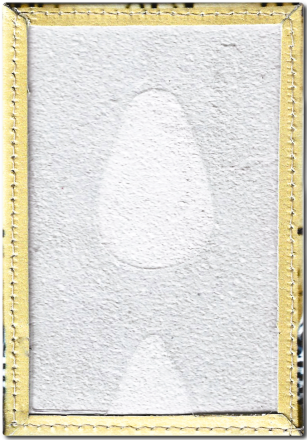 Чехол для проездного "Кот с плакатом"