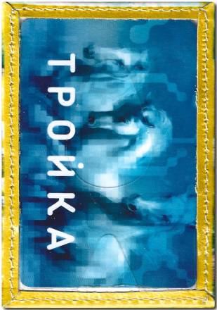 Чехол для проездного "Кот с ромашками"