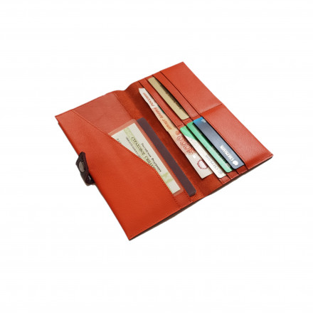 Тревеллер №5