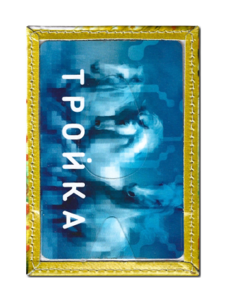 Чехол для проездного "Котик и сердечки"