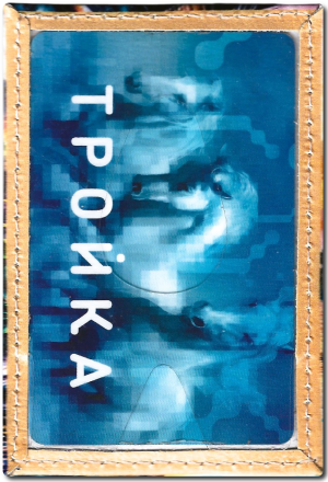 Чехол для проездного "Лев у пальмы"