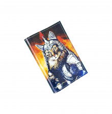 Обложка для автодокументов "Кот-викинг"