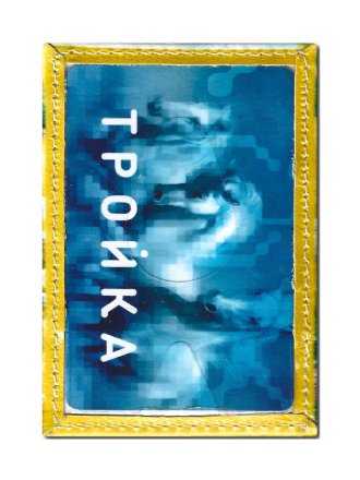 Чехол для проездного "Пес в лесу"