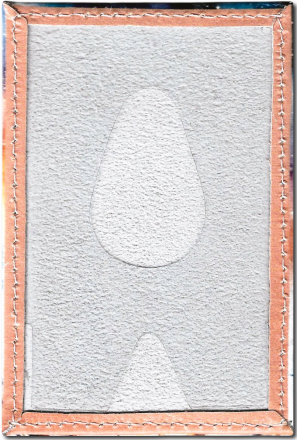 Чехол для проездного "Совы"