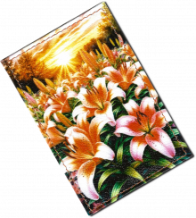 Чехол для проездного "Лилии"