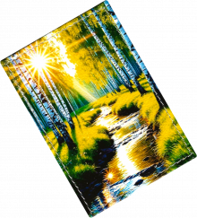 Чехол для проездного "Березовая роща"