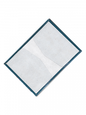 Обложка для паспорта "Ваза с пионами"