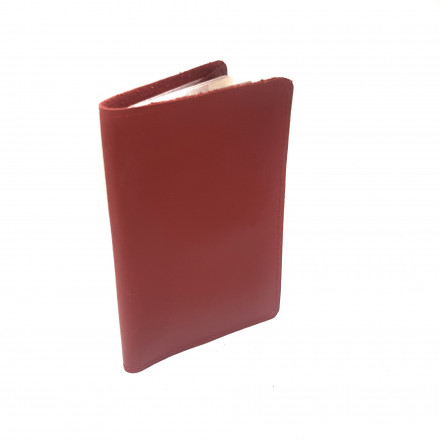 Обложка для паспорта №6