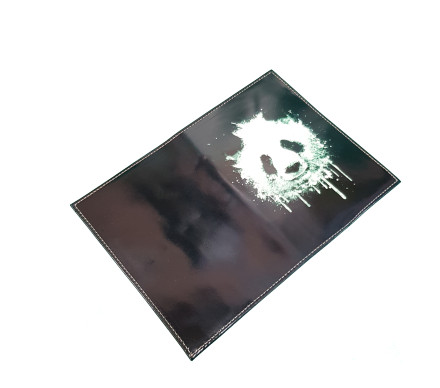 Обложка для документов "Панда 2"